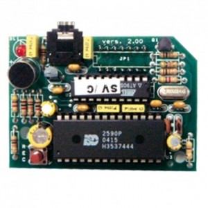 modulo di sintesi vocale Amc