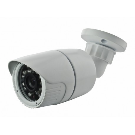 Telecamera professionale ONVIF - 1/2.8” Exmor CMOS - 2 Megapixel1920x1080 Ottica 3.6 mm 0 Lux 