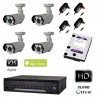 Kit videosorveglianza AHD 4 telecamere 1.3MPX led array DVR 4 canali e HD 1TB