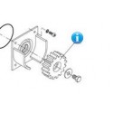 9686032 ricambio ingranaggio motore cancello beninca MS4 e BULL