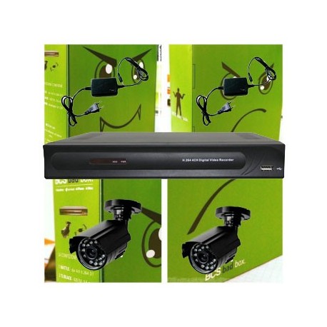Kit videosorveglianza Bad Box Bcs security