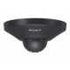 Telecamera dome ip sony SNCDH110B
